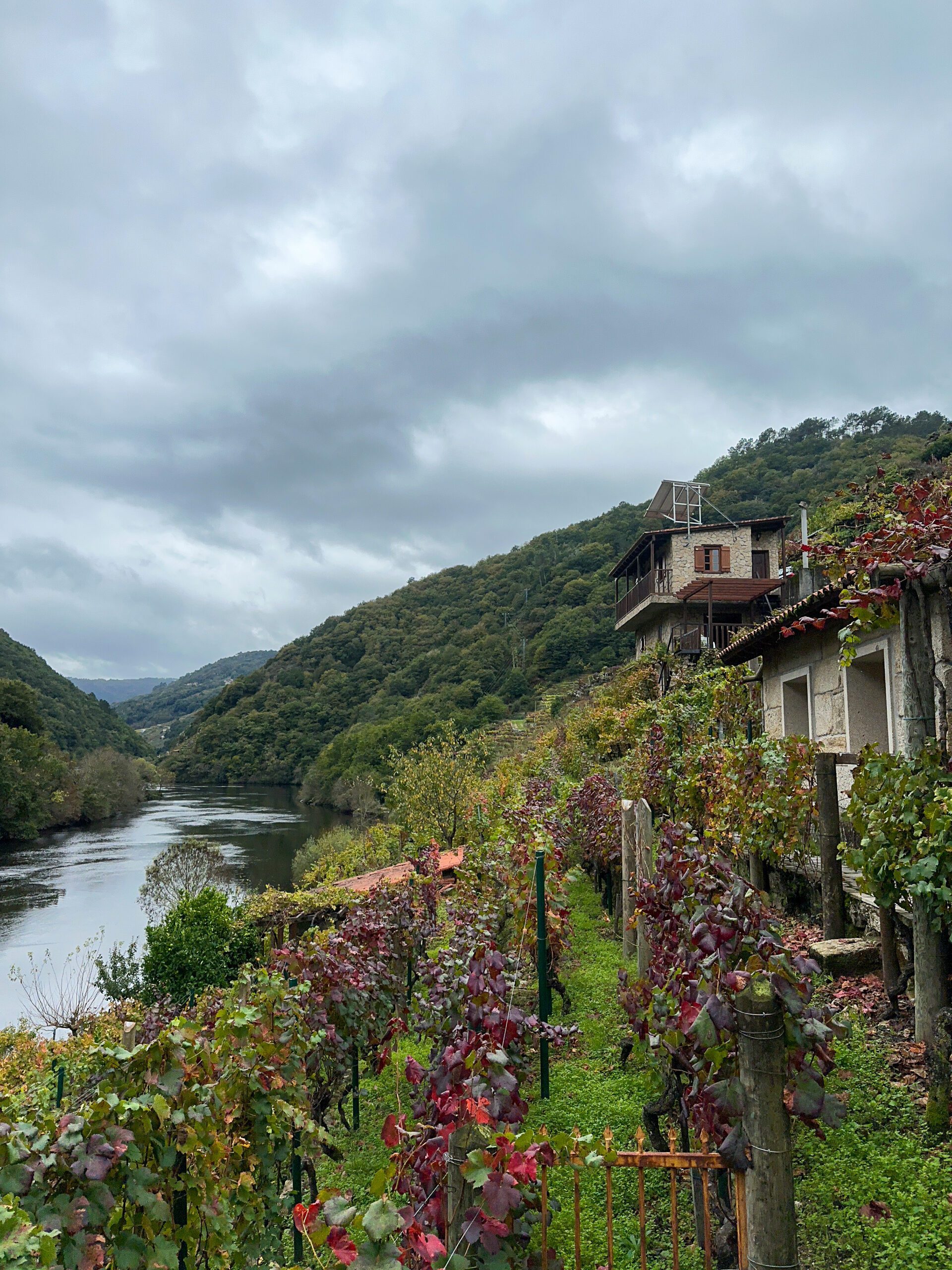 Ribeira Sacra