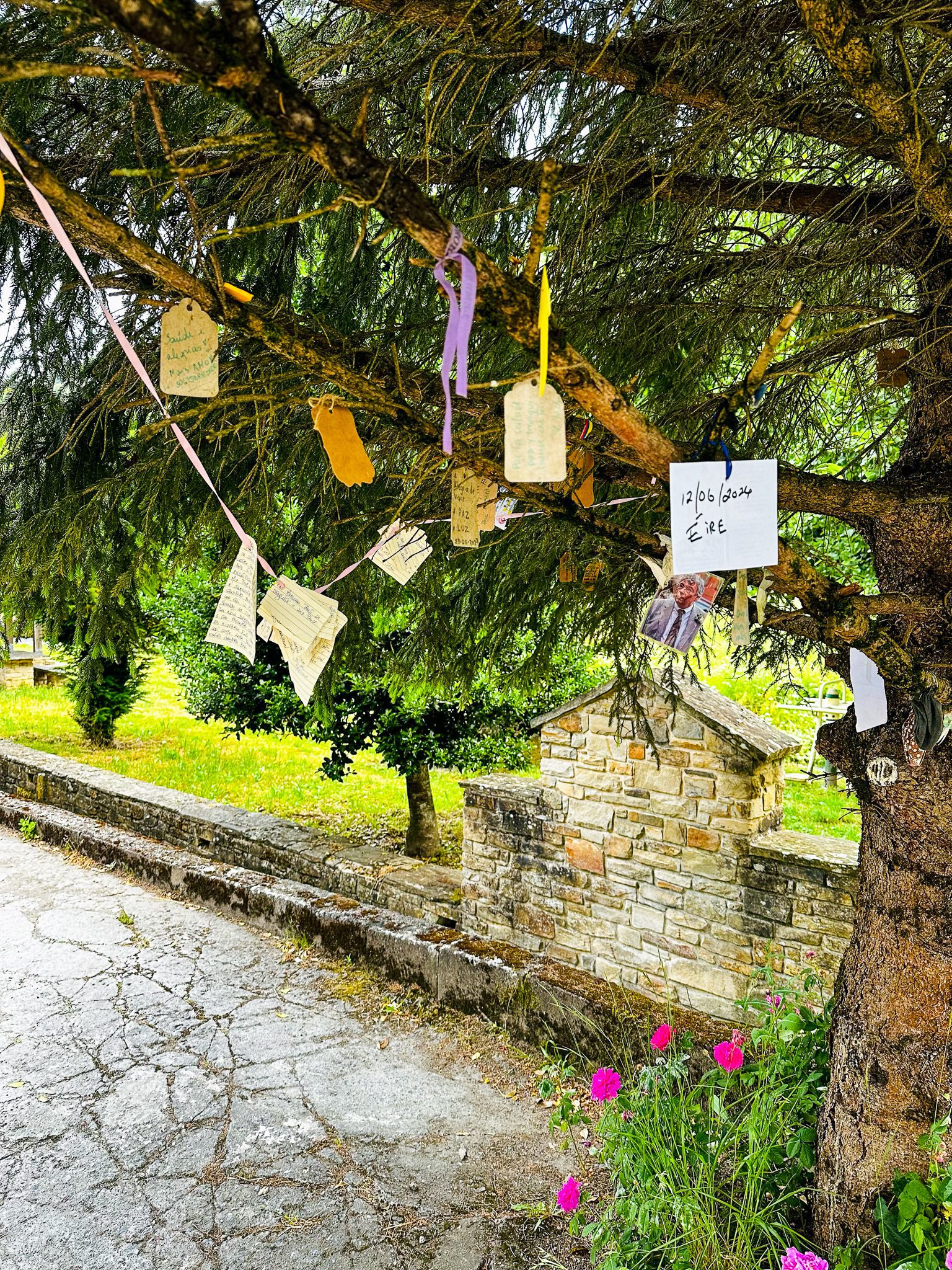 Notes hanging from a tree in Las Herrerias