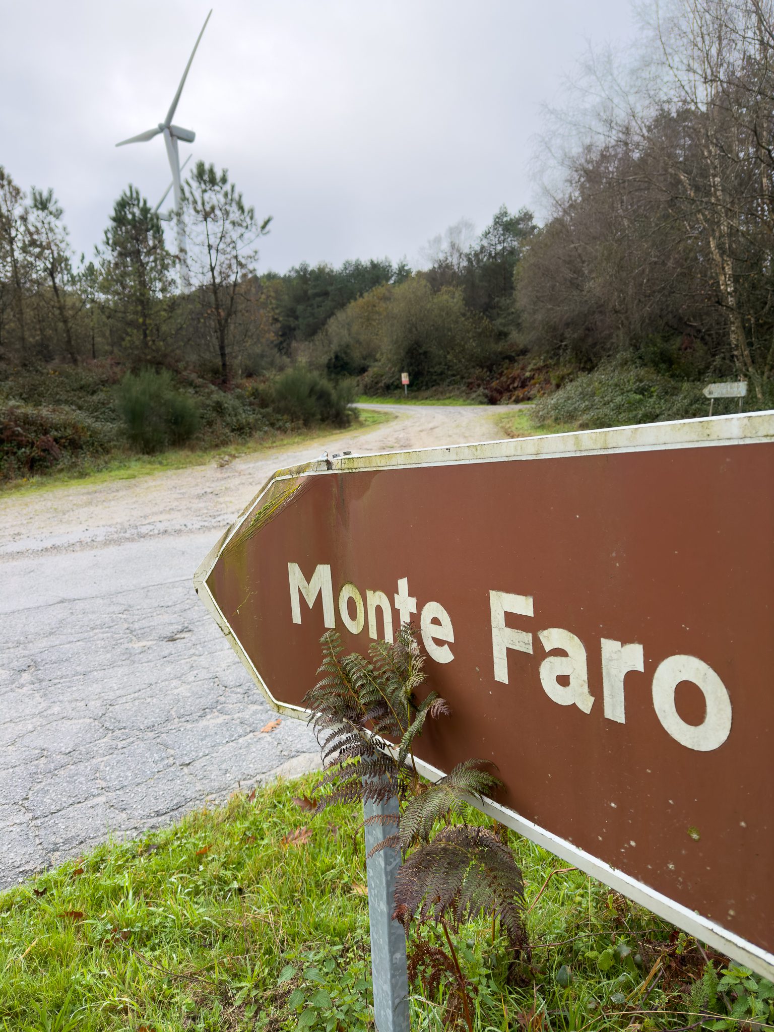 Monte Faro