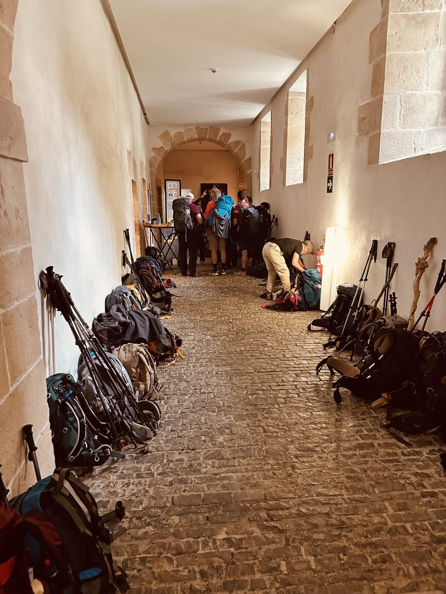 Bags in Ronsavalles