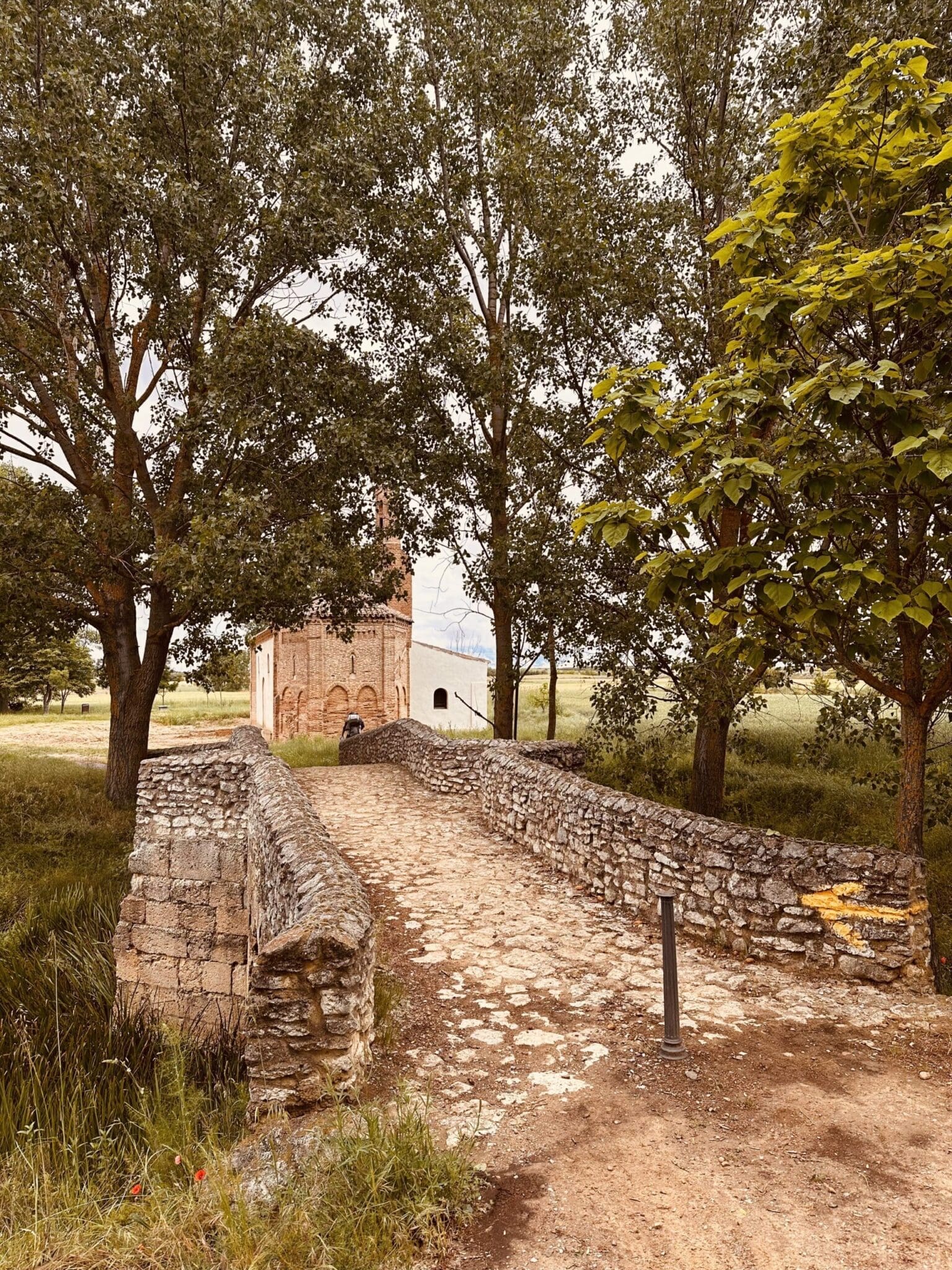 Bridge into Sahagún