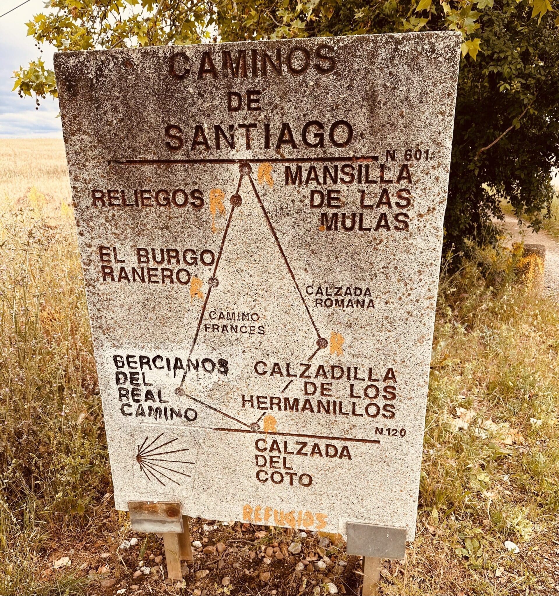 Calzada del Coto