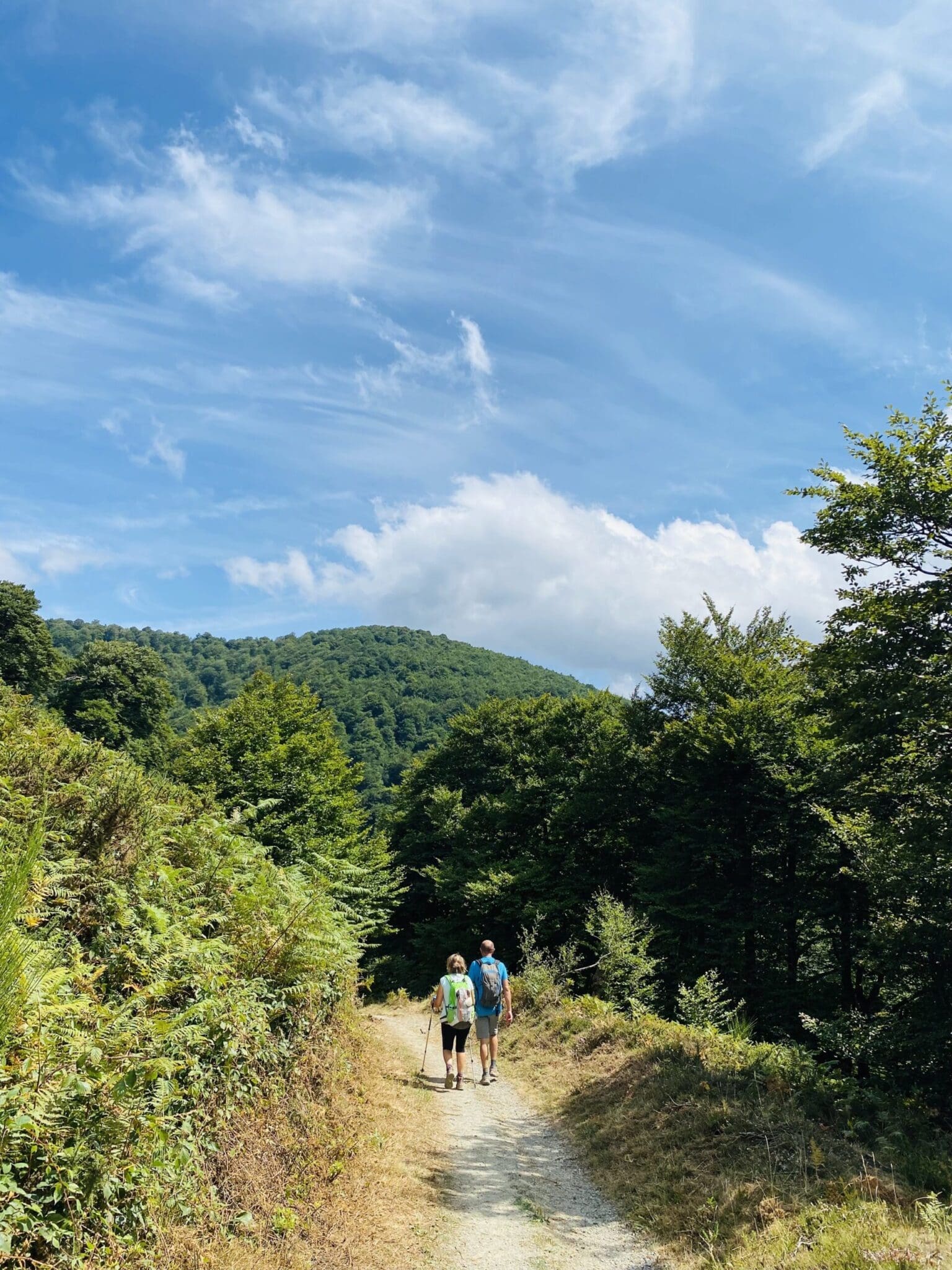 Descent to Ronsavalles