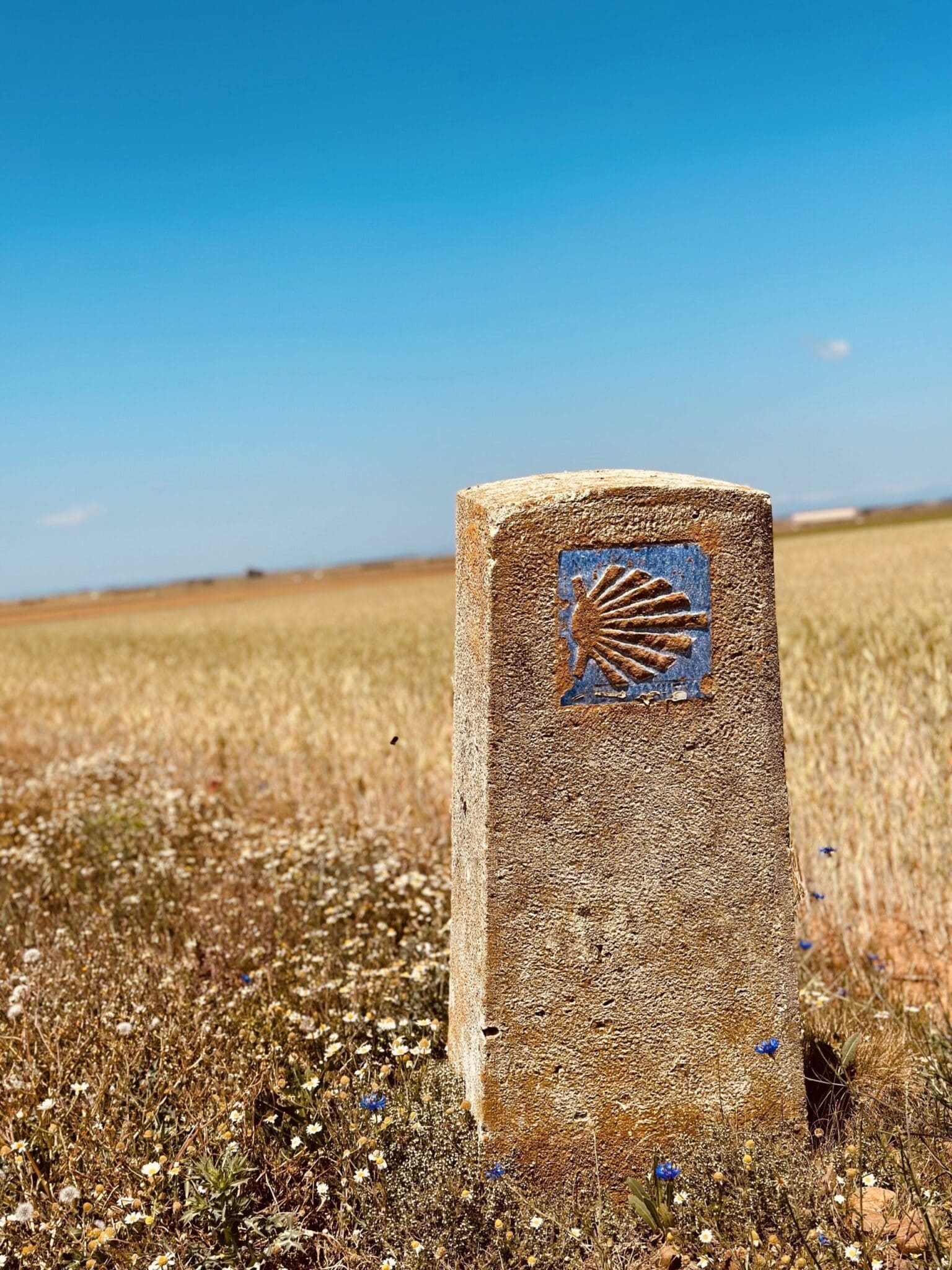 El Burgo Ranero Camino
