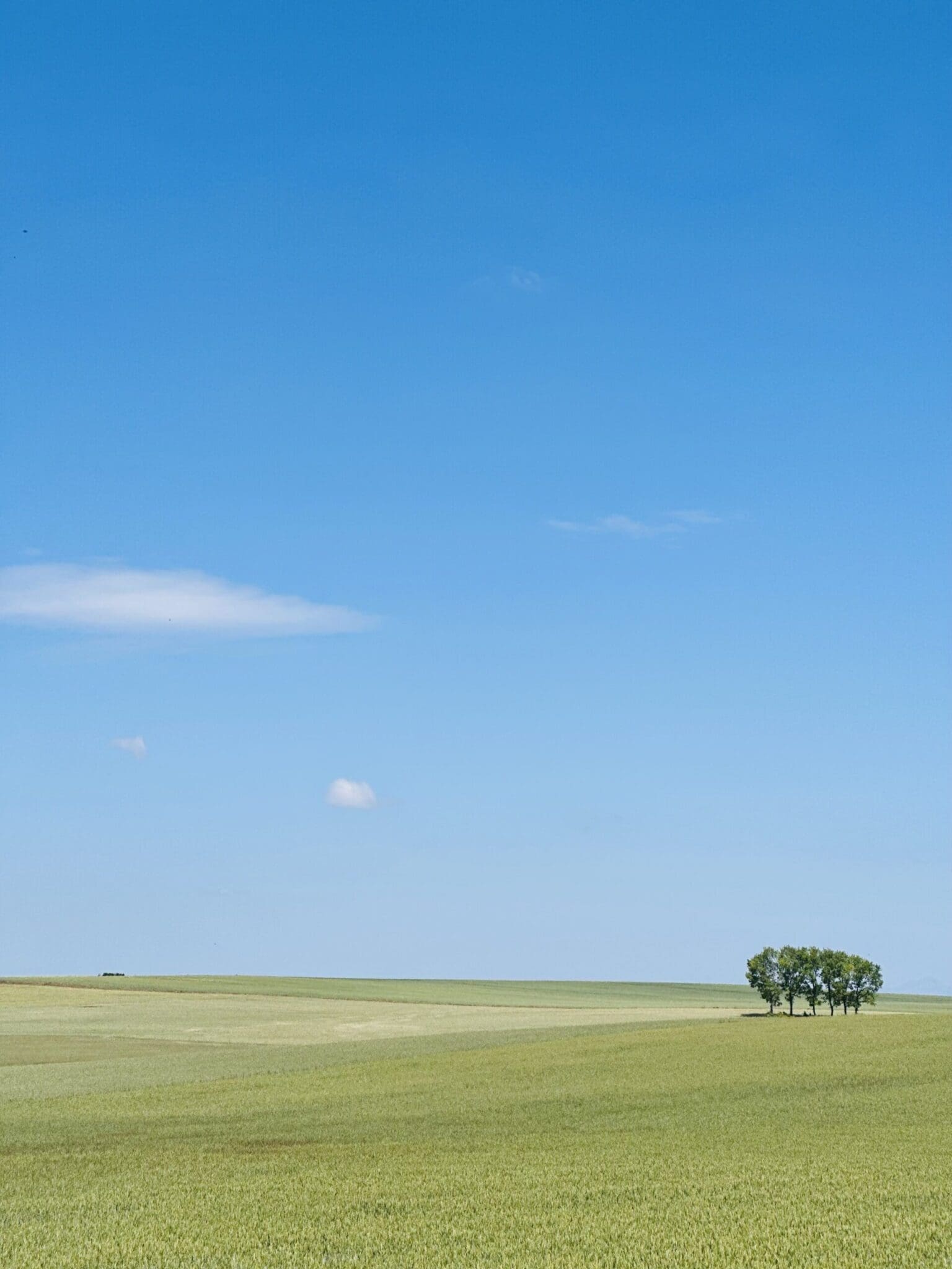 El Burgo Ranero