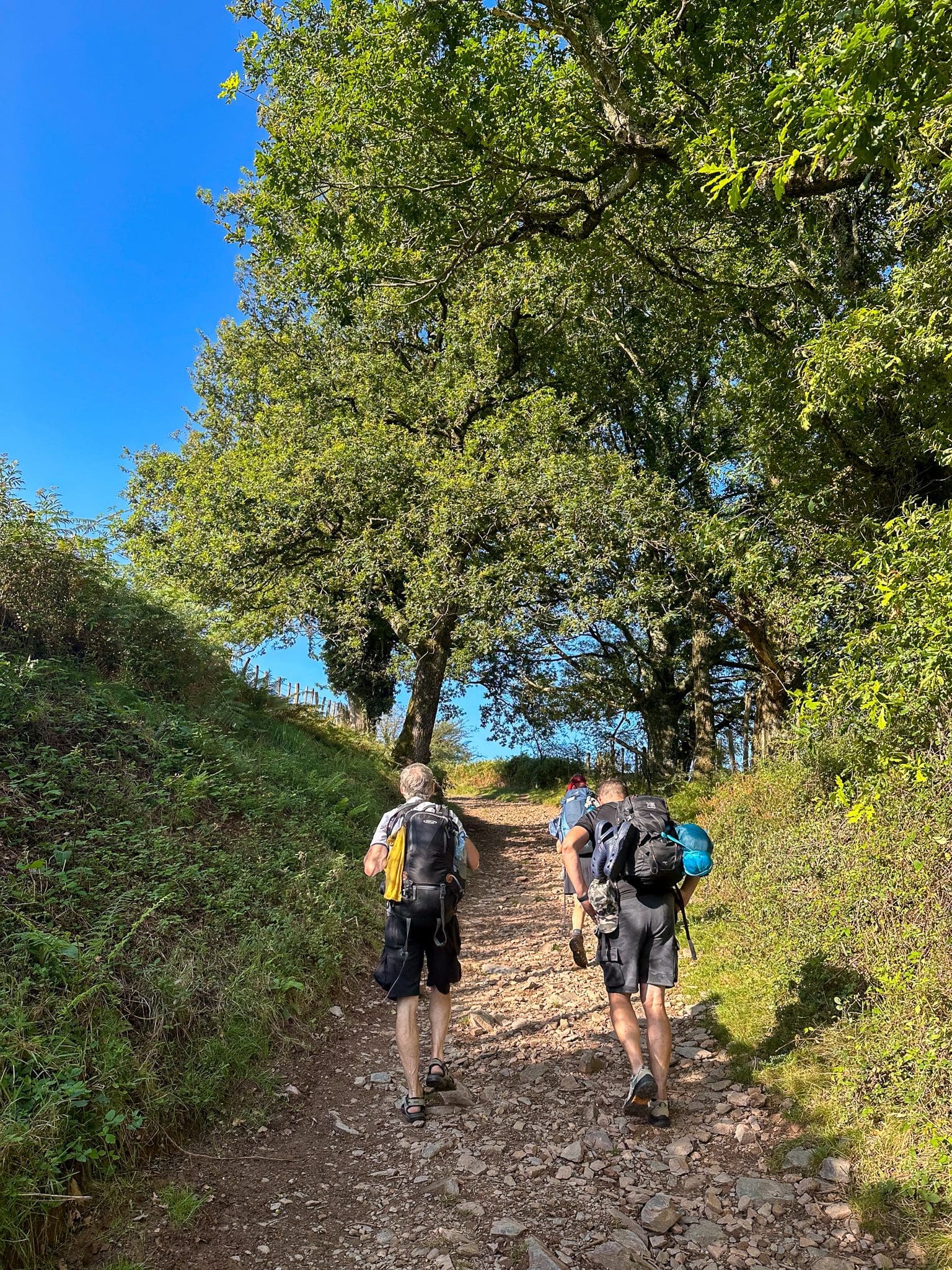 Hike to Orrison