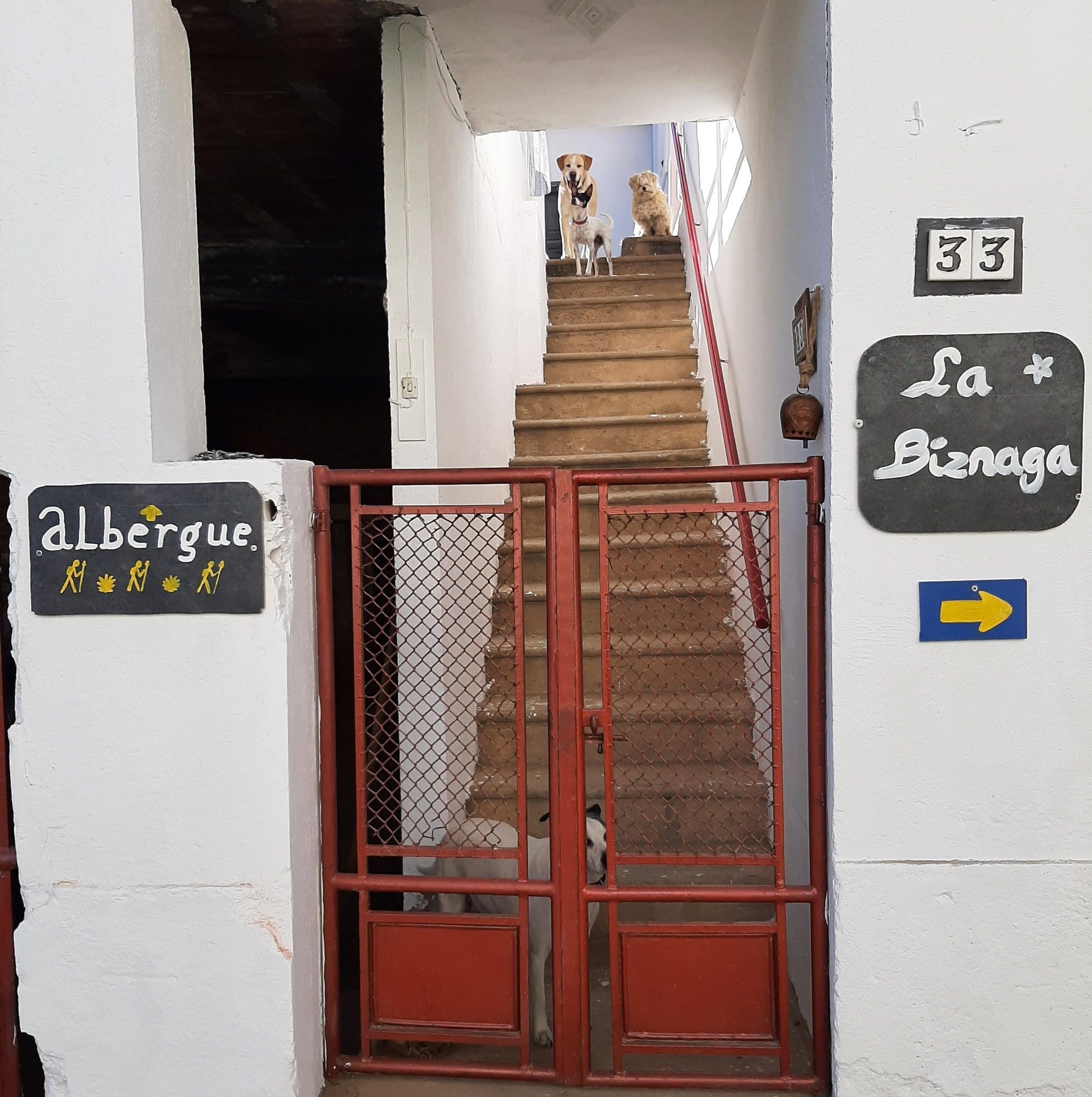 La Biznaga