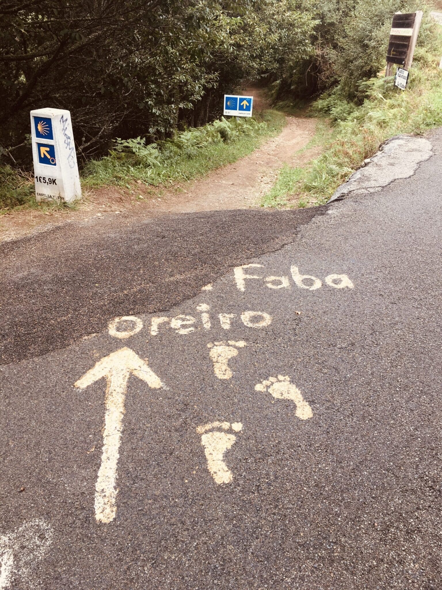 O Cebreiro