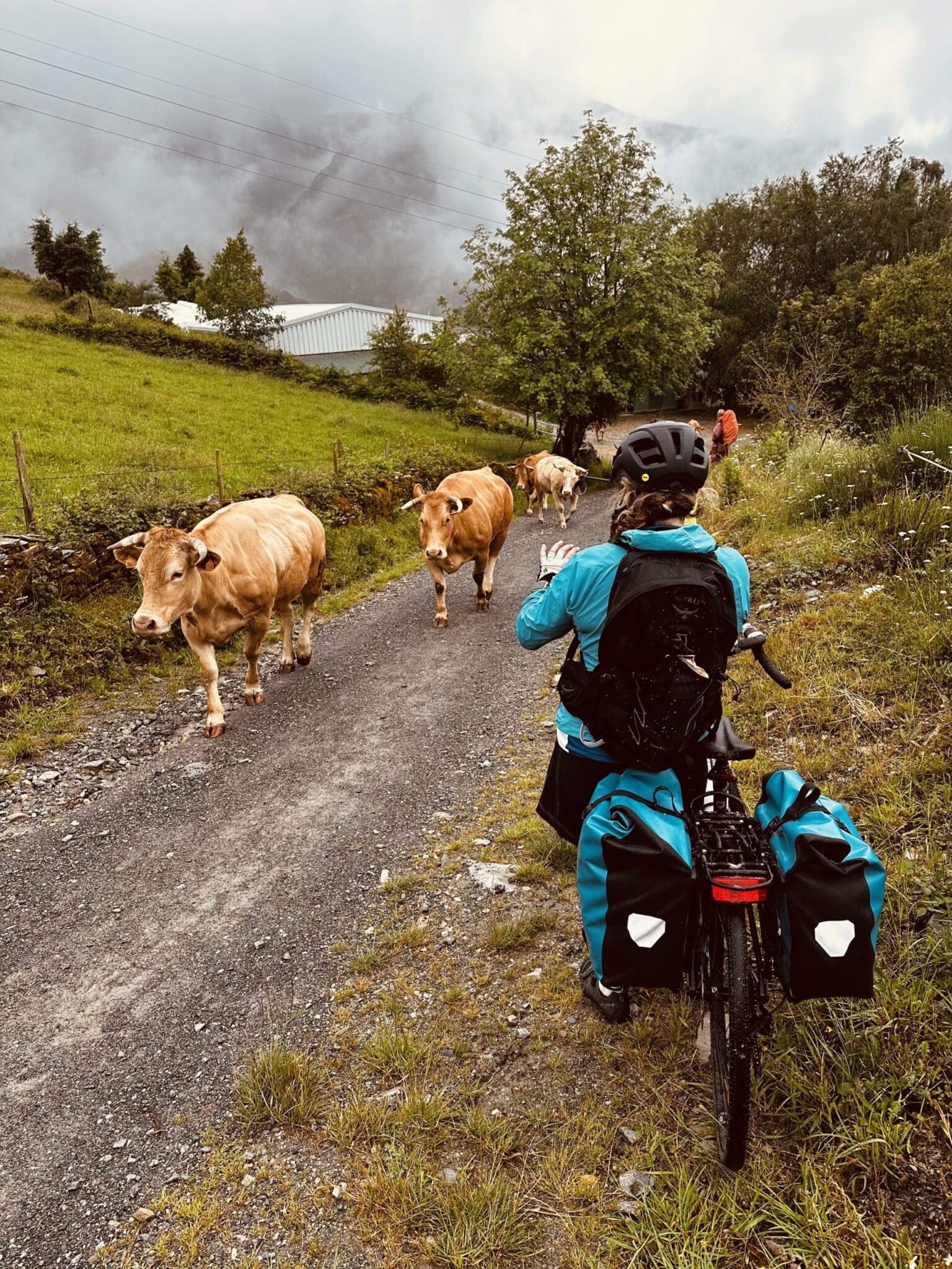 Traffic Jam Tricastela