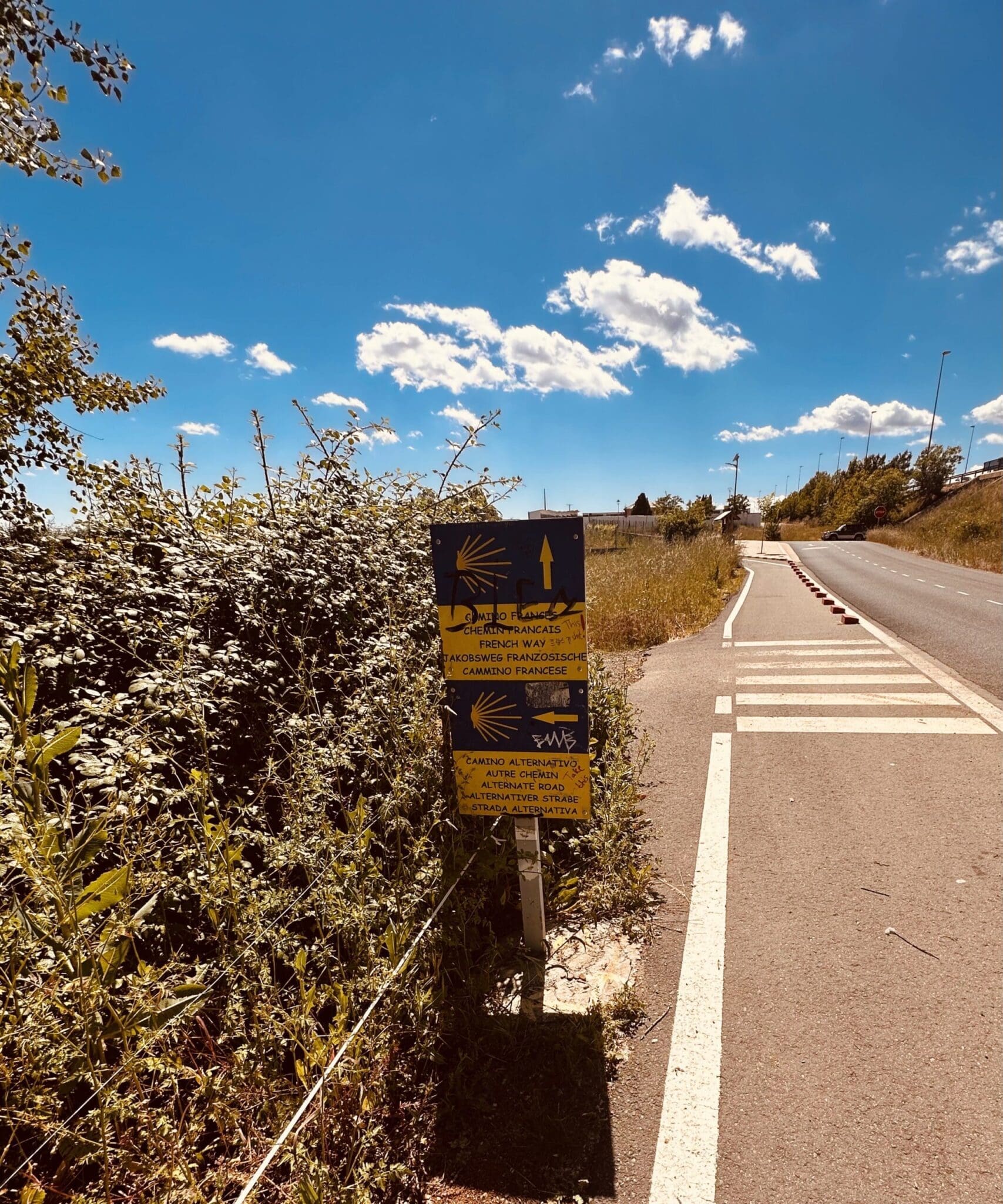 Turn Left