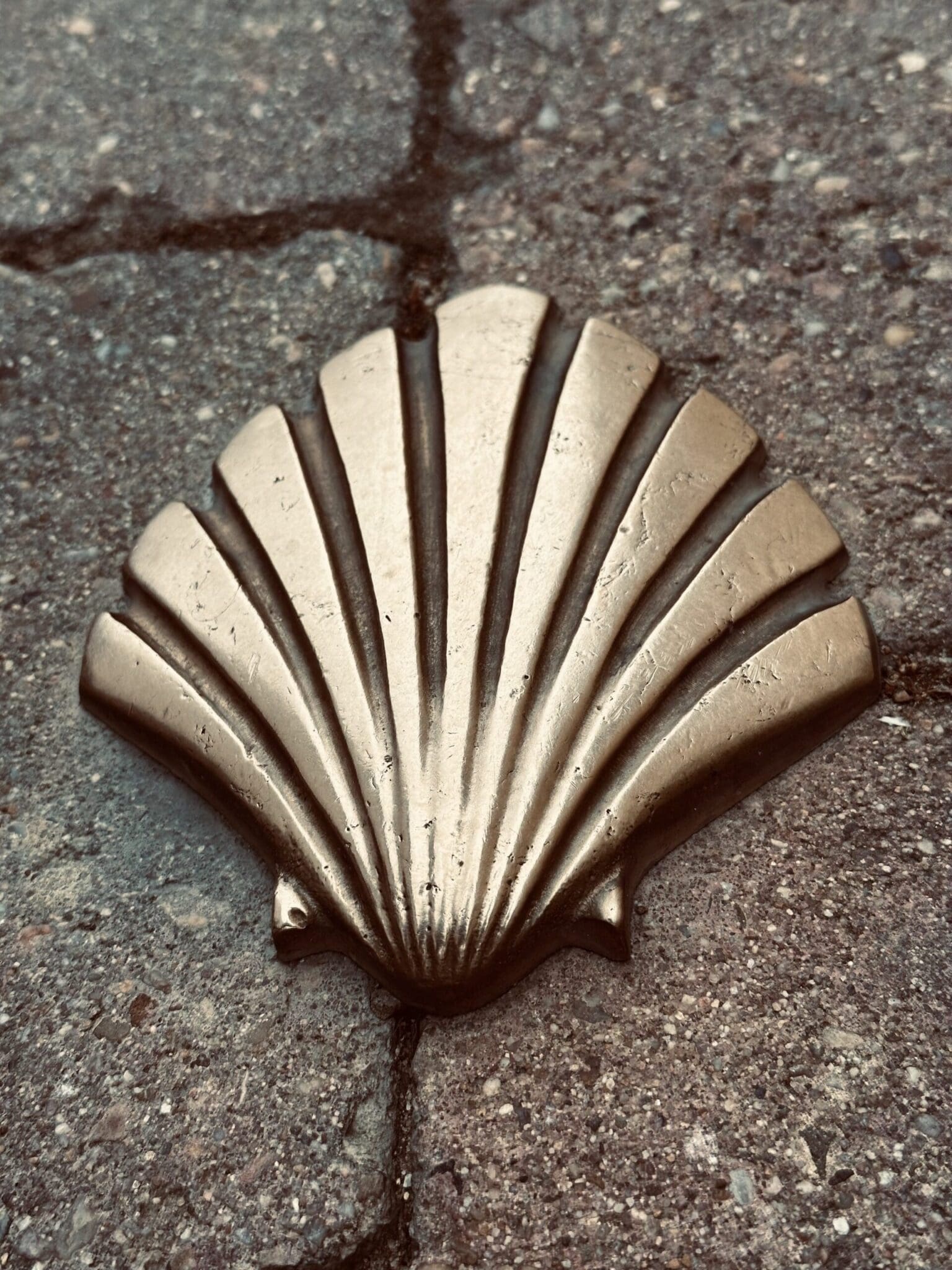 Mansilla de las Mulas