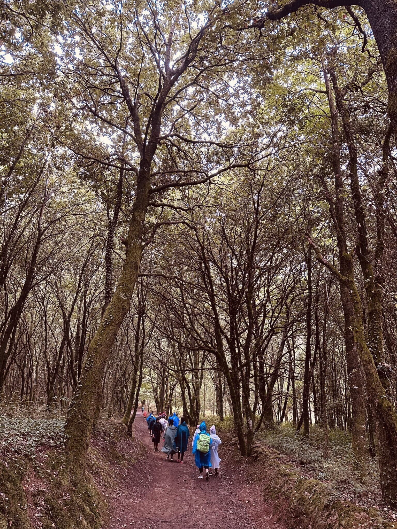 Road to Melide